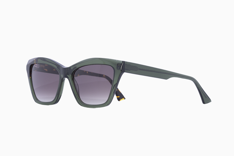 imagen de ZAMBRA E246